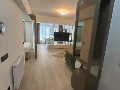 închiriere garsonieră Sector 3 București zonă de zi pat și tv